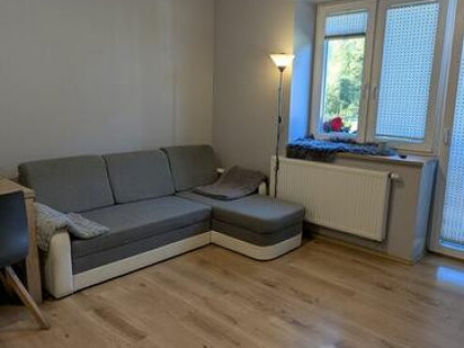 2-pokojowe mieszkanie k. Bielska (Wilkowice/Bystra), parter