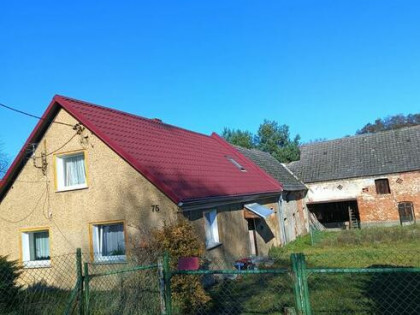 Sprzedam dom z łąką