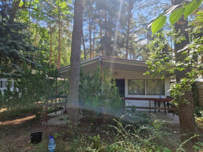 Działka 600 m² z wyposażonym domkiem – 70 m od jeziora! Wilc