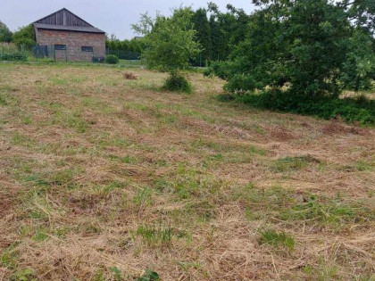 Działka Trzebyczka