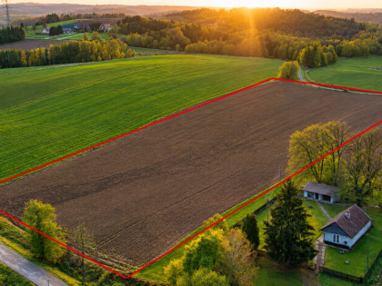 Działka rolna 2,60 ha – Łęki Górne - gm. Pilzno !