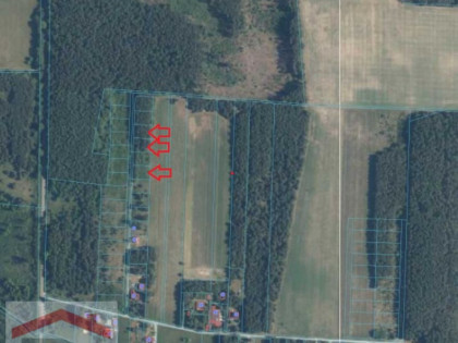 Działki w otoczeniu lasów