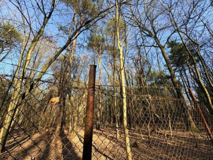 Działka na sprzedaż! Atrakcyjna cena!