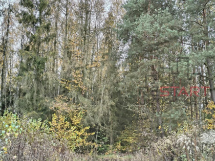 Działka budowlana Nowy Prażmów gm. Prażmów,