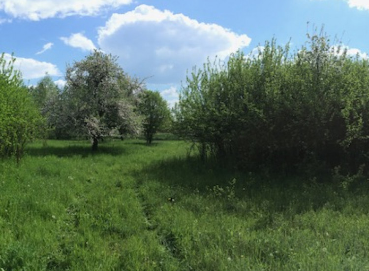 Siedlisko / zabudowana nieruchomość rolna - Nowe Radzikowo Nowe Radzikowo