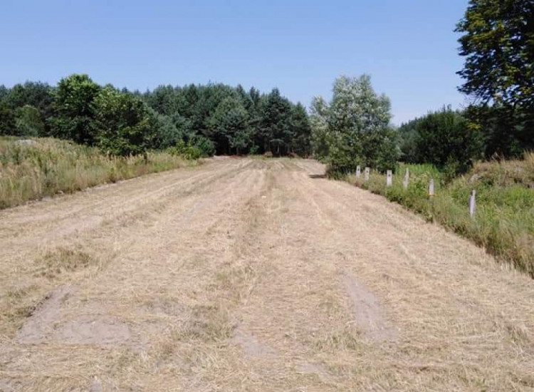 Działka rolno budowlana Staszów