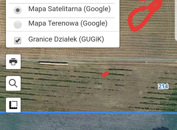 Dzalka rolna łąka Ostroròg Ostroróg