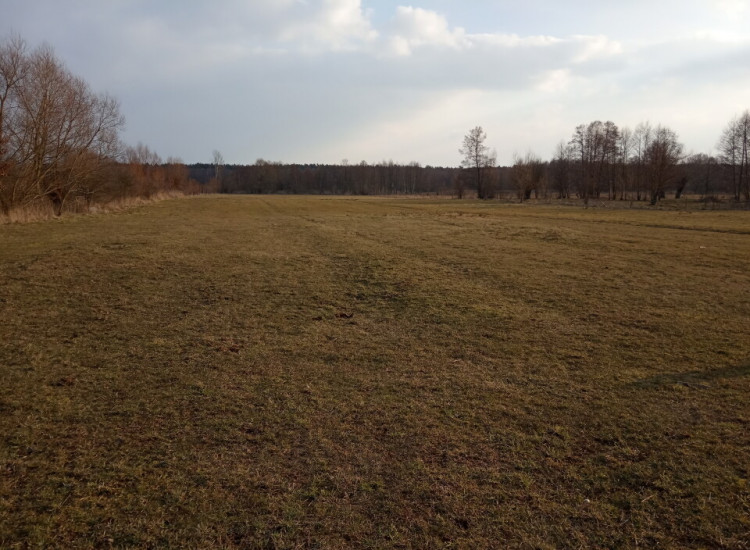 Sprzedam gospodarstwo rolne Stare Polesie