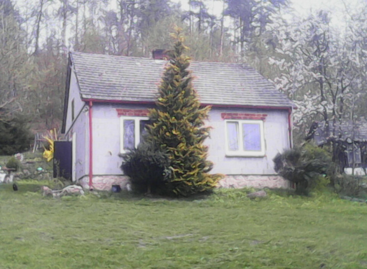 sprzedam Dziewięcierz