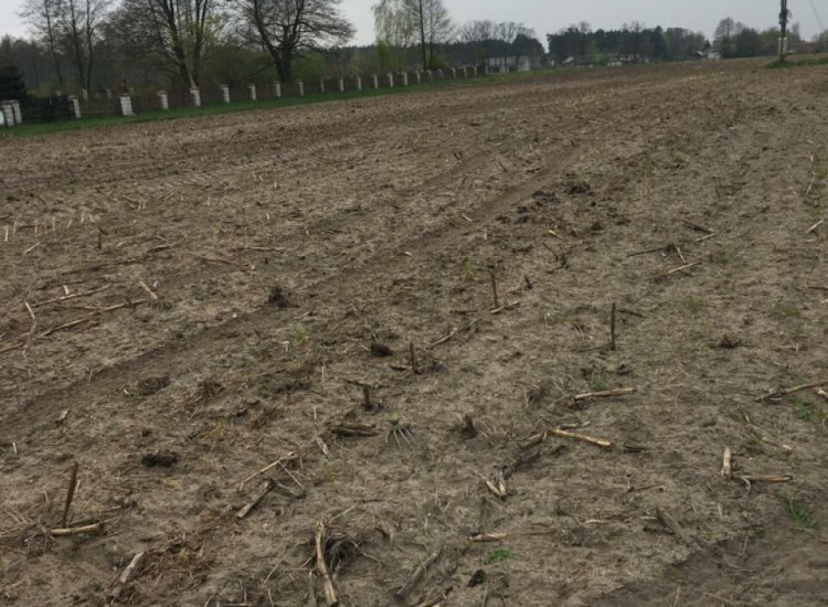 Sprzedam  działki Brzozówka Gmina Grabów Brzozówka