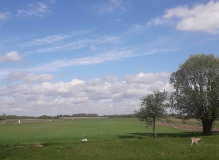 Sprzedam ziemie rolną Nowe Paski