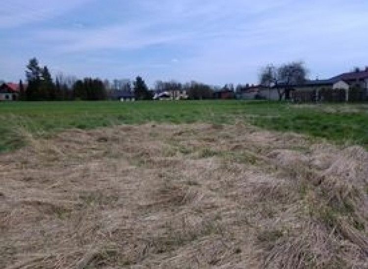 Sprzedam działkę budowlaną w Tarnowskich Góach w Strzybnicy za 72 tysiące złotych Tarnowskie Góry