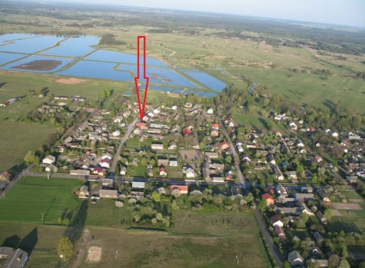 Działka siedliskowa, Okołowice Okołowice