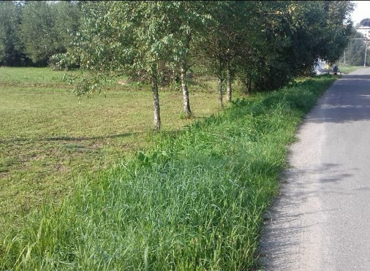 Brzozów - działka budowlana na sprzedaż Brzozów