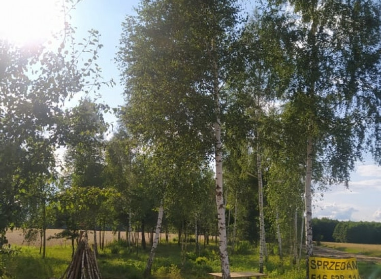 Działka budowlana 65 km od W-wy blisko zalewu i lasu cisza-spokuj Nowe Miasto