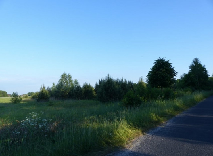 sprzedam 9ha gm Tłuchowo Małomin