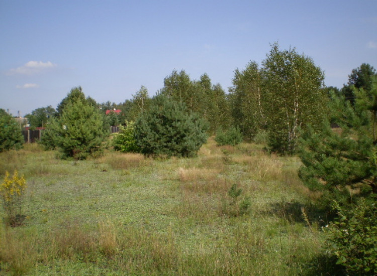 Dzialka w Kaszewcu, powiat Makowski Kaszewiec