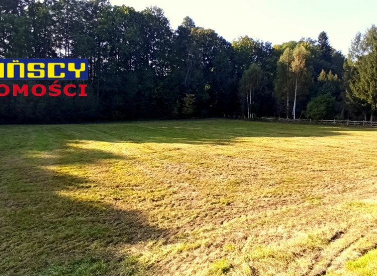 Działki ze stawem na wsi Leśna