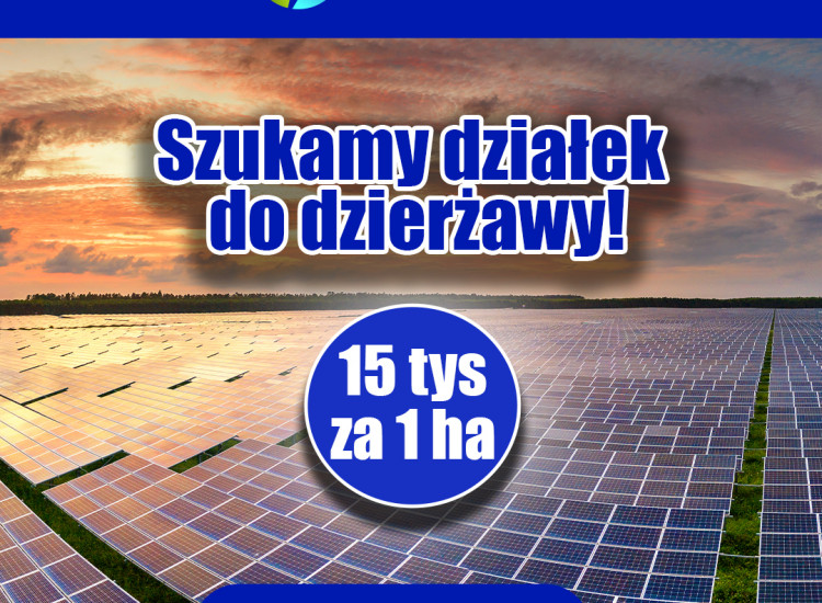 Wydzierżawię grunty pod budowę farmy fotowoltaicznej Czyżew