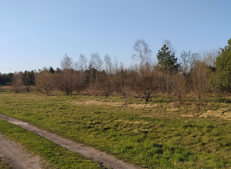 Sprzedam działki - 0,30 ha i 0,64 ha (30 m. szer.) Gidle