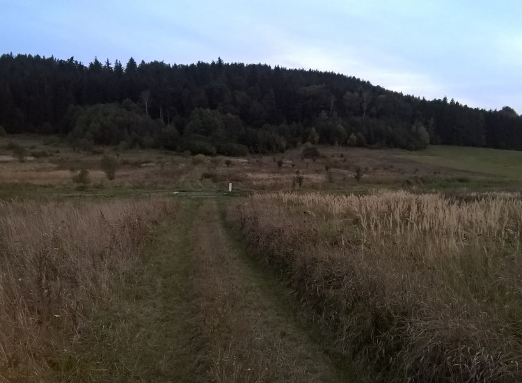Sprzedam działkę budowlaną, 4 km od Polanicy-Zdrój, dobrze położona Stary Wielisław