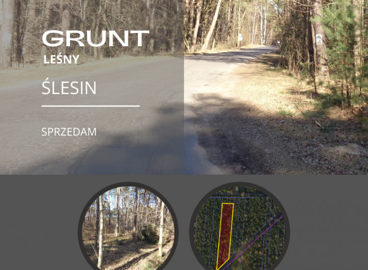 Ślesin – Działka Leśna Ślesin