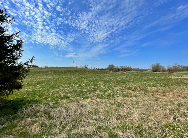 Działka rolna 2,5ha Łekno
