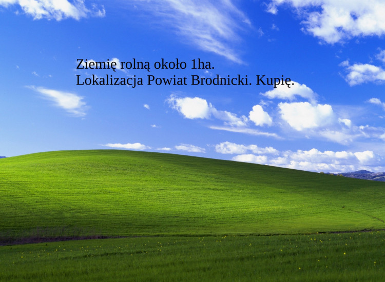 Kupię Ziemię ziemia rolna około 1ha Powiat Brodnicki Brodnica
