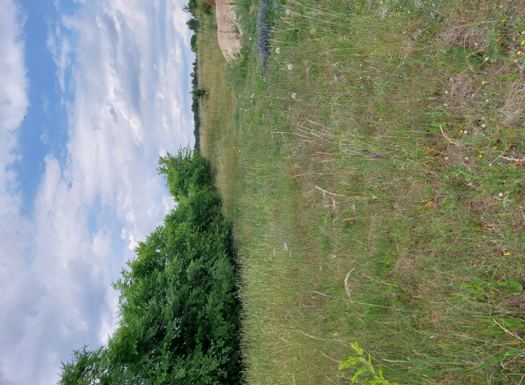 Działka nad jeziorem Niesłysz, Niesulice Niesulice