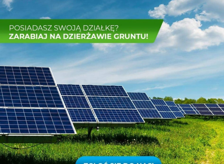 Wydzierżawię grunty pod budowę farmy fotowoltaicznej Piotrków Kujawski
