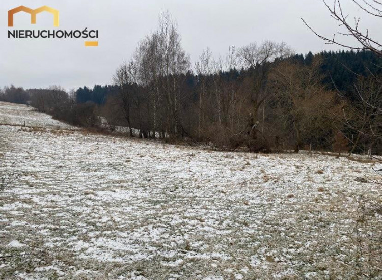 Działka Mszalnica Mszalnica