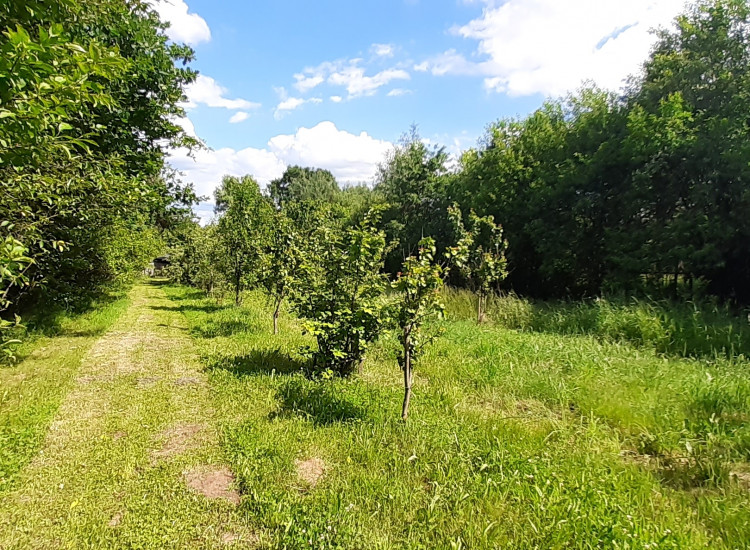 Działka rolno-budowlana 1550 m Starachowice