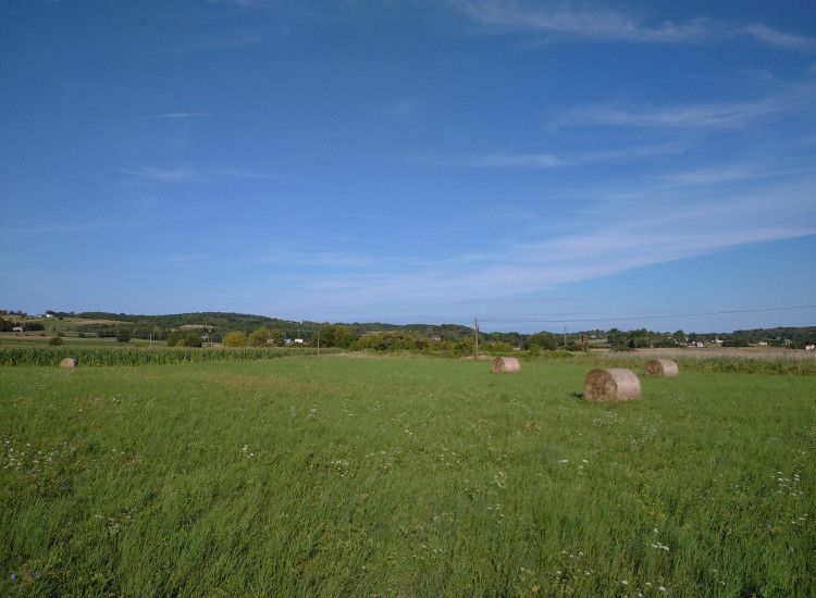 Działka rolna 1.18 ha, Tarnowiec, gmina Tarnowiec, pow. jasło Tarnowiec