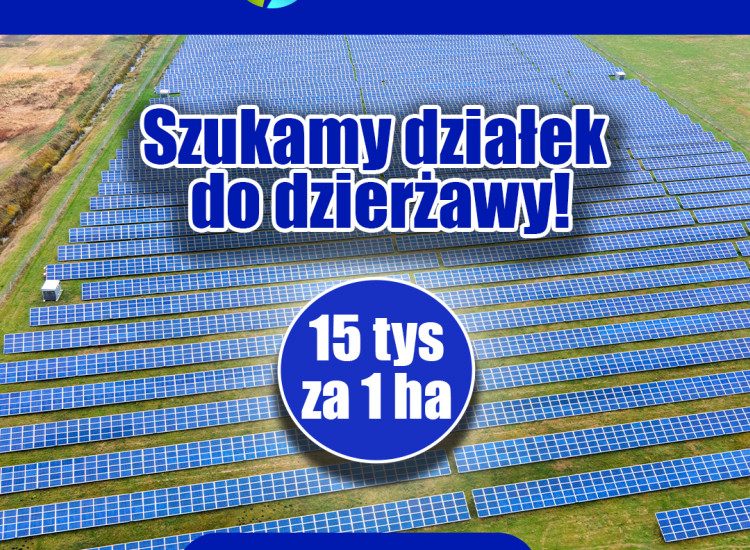 Wydzierżawimy grunty rolne pod budowę farm fotowoltaicznych Korzeńsko