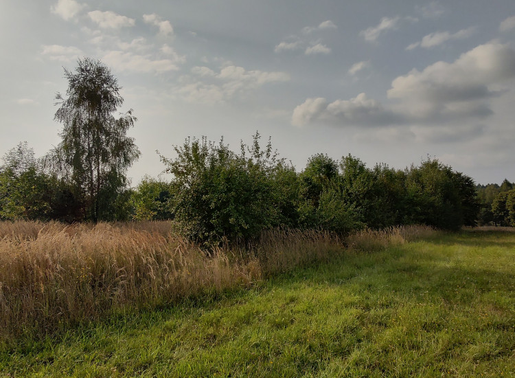 Działka budowlana w Orzeszu + GRATIS działka niebudowlana 1042 m2 w Bełku!!! Orzesze