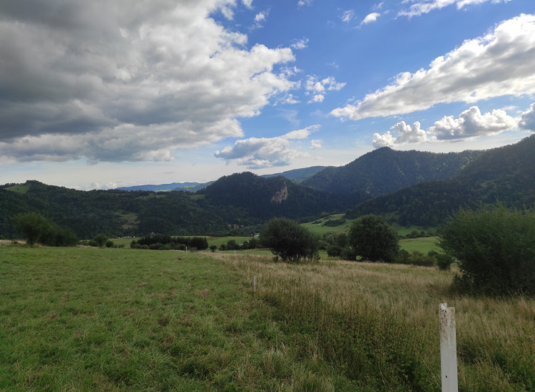 Działka z widokiem na Pieniny pod domki letniskowe Szczawnica