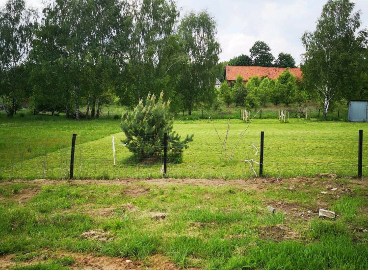 Działki budowlane Zwierzewo Zwierzewo