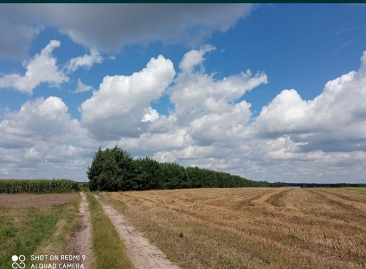 Działka leśna z budowlaną Ujazd
