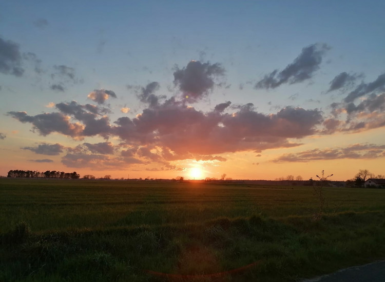 Działka budowlana 5600 m^2, blisko Uniejowa Uniejów