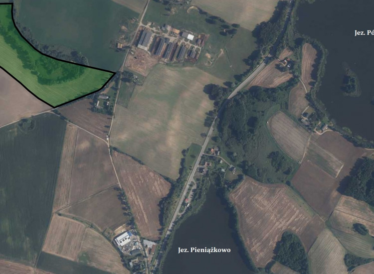 Działka rolna 11,75 ha Kolonia Ostrowicka, gmina Gniew Gniew