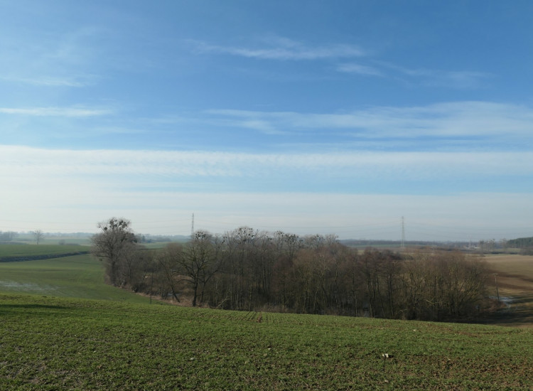 Działka rolna 11,75 ha Kolonia Ostrowicka Kolonia Ostrowicka