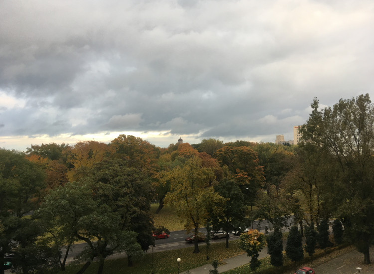 Wynajmę mieszkanie 2 pokoje Warszawa ul Przychodnia Warszawa