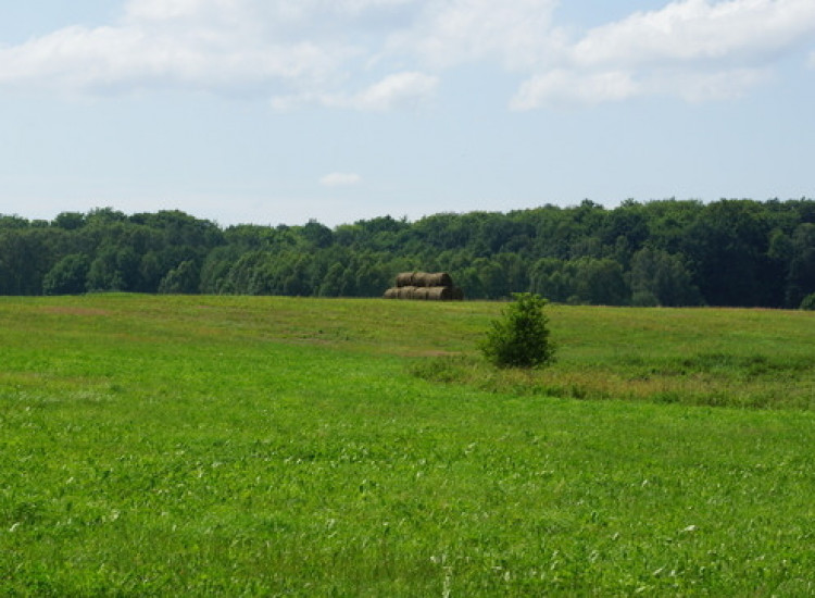 Działka 2.3103ha,m.Bobolice,las,dr.asfaltowa. Bobolice