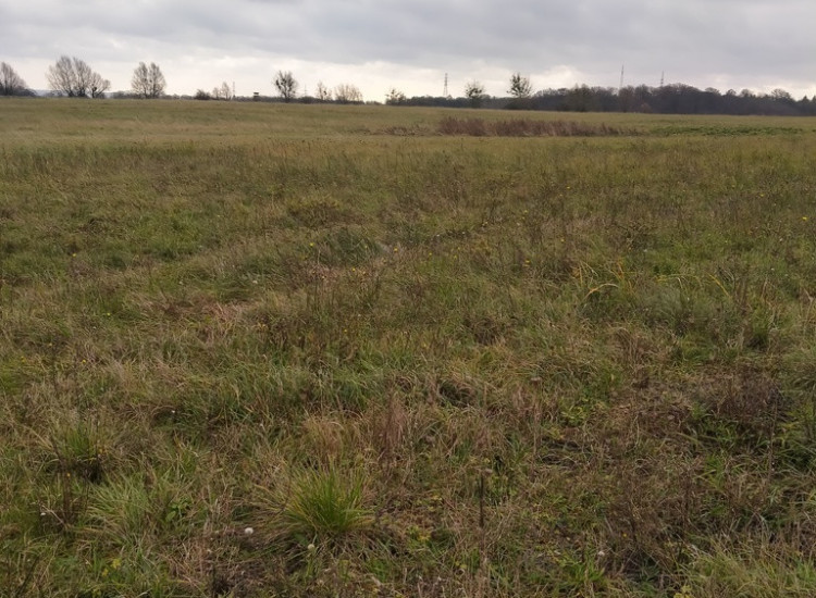 Działka Szczecin-Skolwin 3074 m2. Szczecin