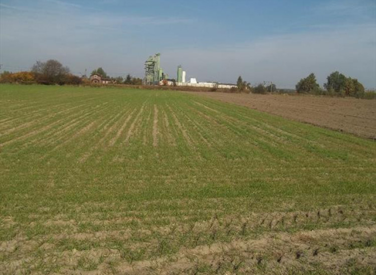 Działka Byków Byków