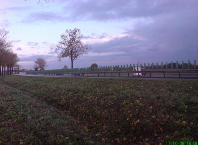 Działka Borowa Oleśnicka Borowa