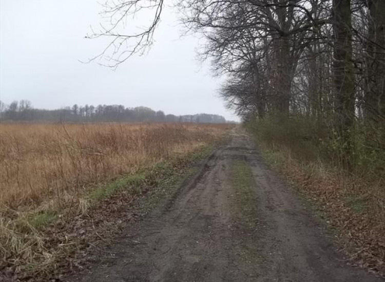 Działka Wilczyce Wilczyce
