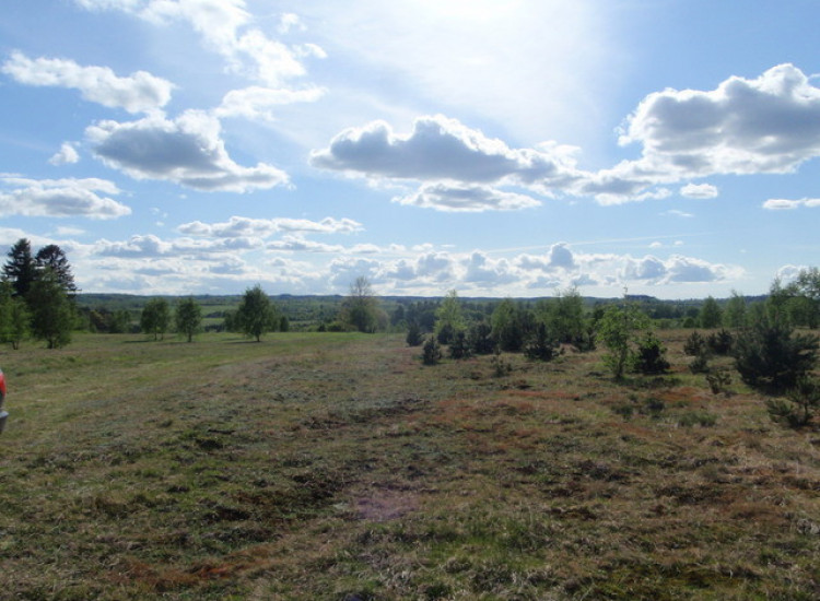 Działka 1.0000ha,m. Bobolice,las,piękny widok, Bobolice