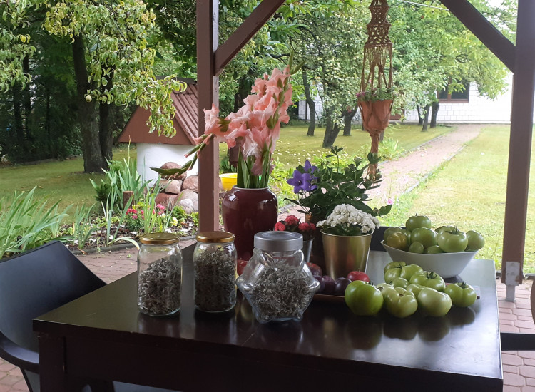 Sprzedam dom.z piękna działka Pionki