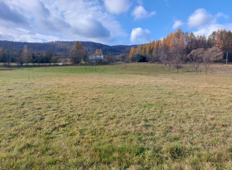 Sprzedam działkę budowlano-usługową w Hańczowej, 1,16 ha Hańczowa